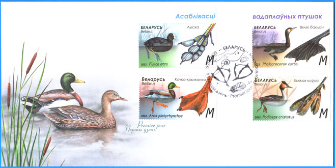 КПД № 1513-1516. Особенности водоплавающих птиц.