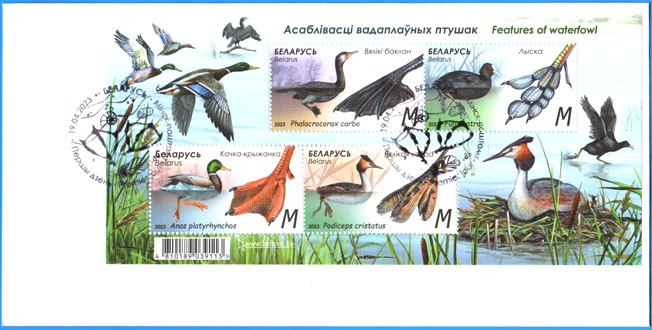 КПД № 1513-1516. Блок № 185. Особенности водоплавающих птиц.