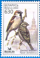   501i.  .