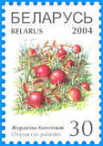 № 535. Клюква болотная.