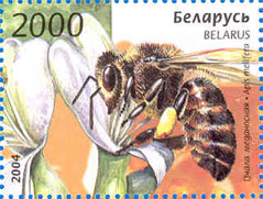 Марка № 569. Пчела медоносная.
